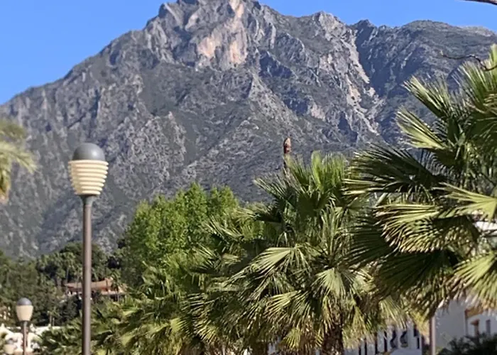 Margarita Marbella